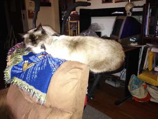 Photo A Day - Jules Needs 2 Seats