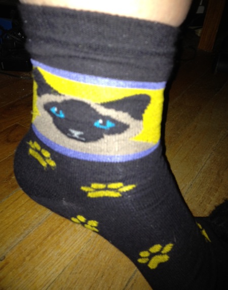 Photo A Day - Siamese Cat Socks