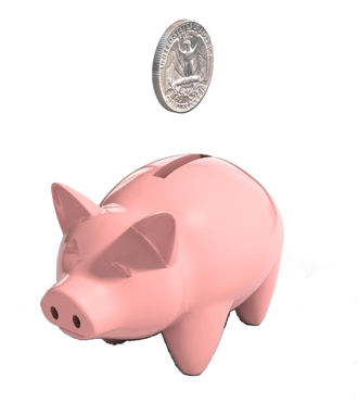 Money in Piggy Bank