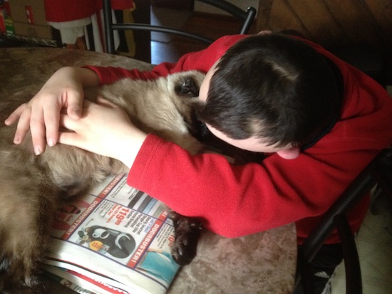 A Boy and his cat, a boy's best friend - Jules and Sad CJ