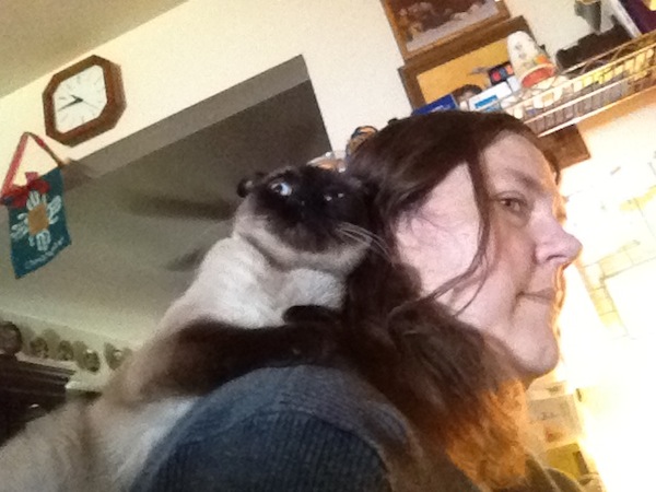 Wordless Wednesday - Jules on my Shoulder