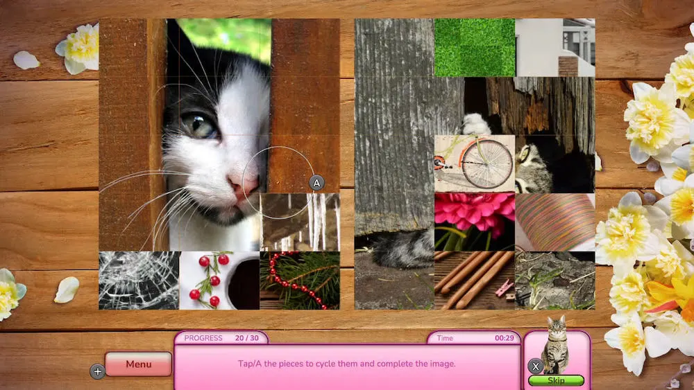 I Love Finding Cats! Collector’s Edition For Nintendo Switch